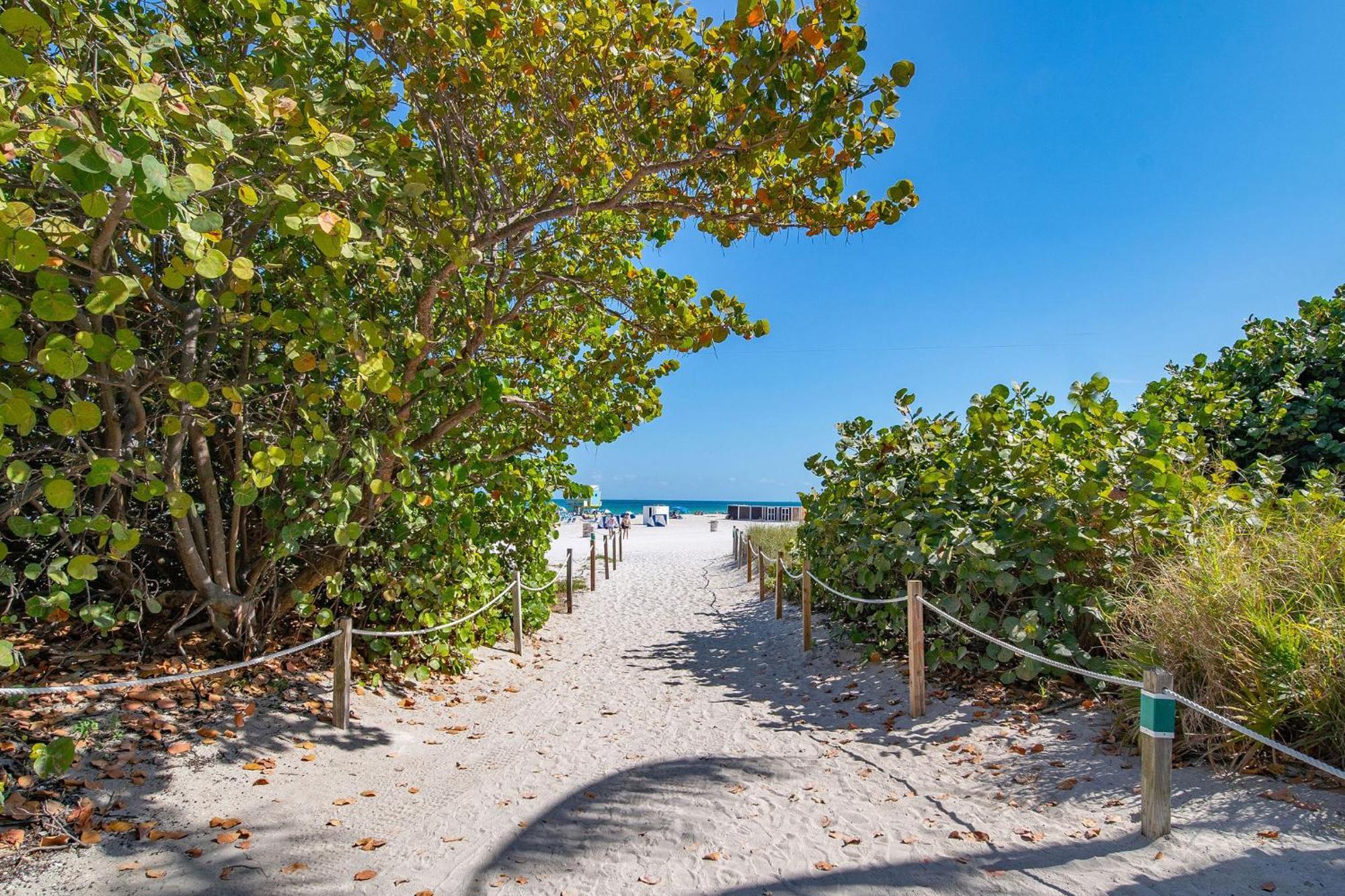Charming Large Studio Near Ocean Dr - South Beach Маямі-Біч Екстер'єр фото